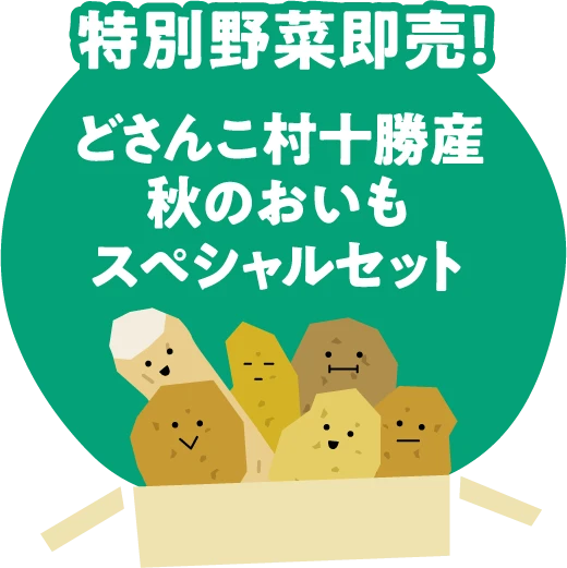 野菜セット限定販売！