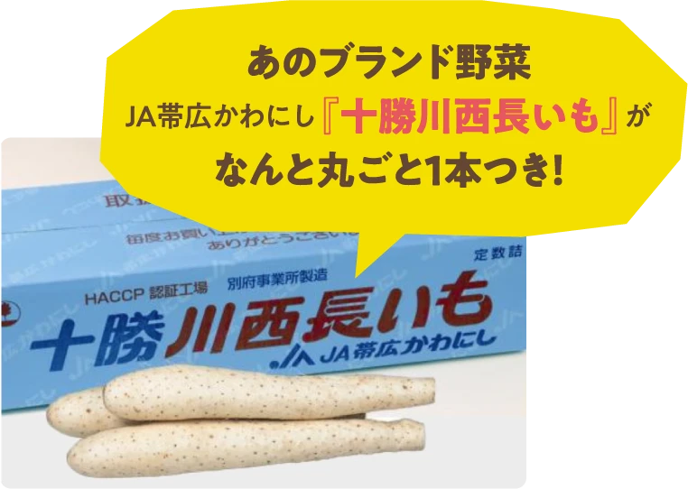 十勝川西長いも丸ごと1本
