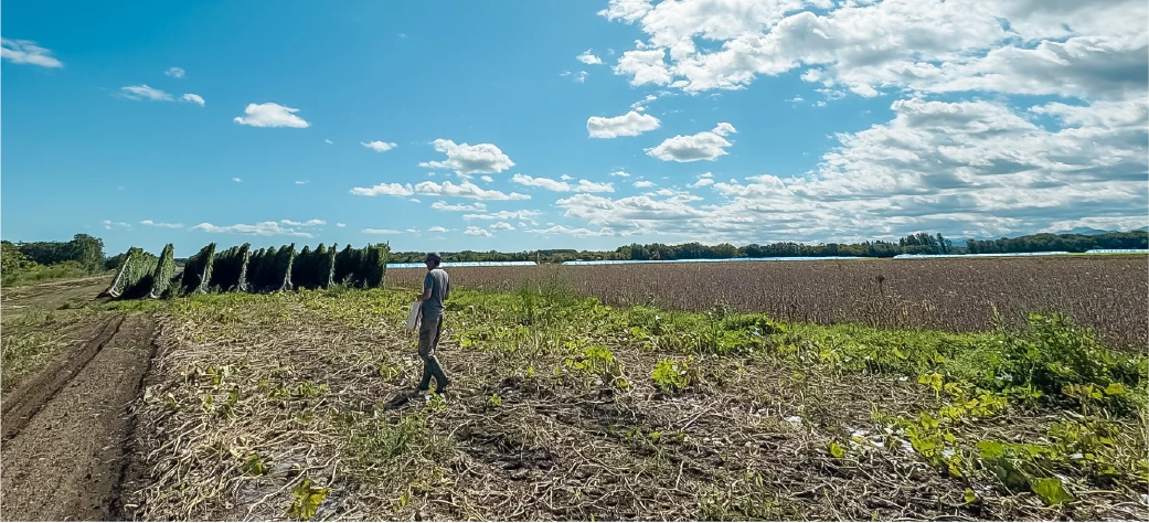 どさんこ村の畑の写真